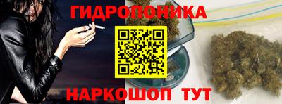 индика Жуковский