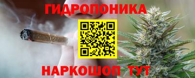 гидропоника Заводоуковск