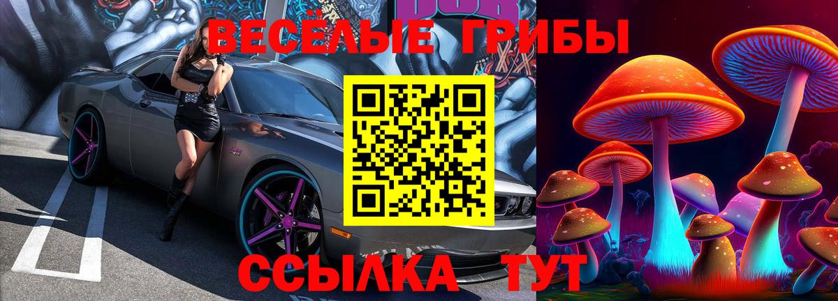 Галлюциногенные грибы Magic Shrooms Обнинск