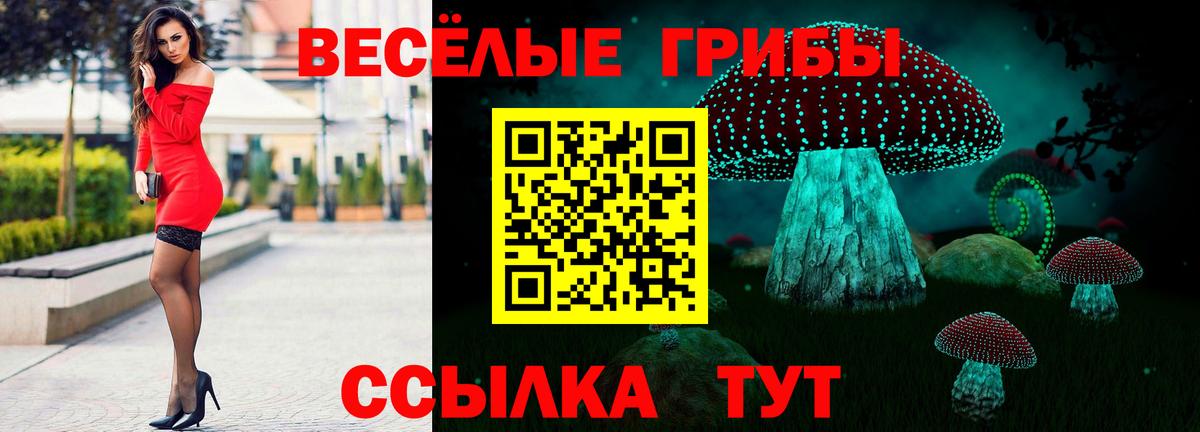 Псилоцибиновые грибы Psilocybine cubensis  Вход с VPN  Псилоцибиновые грибы Psilocybe  Обнинск 